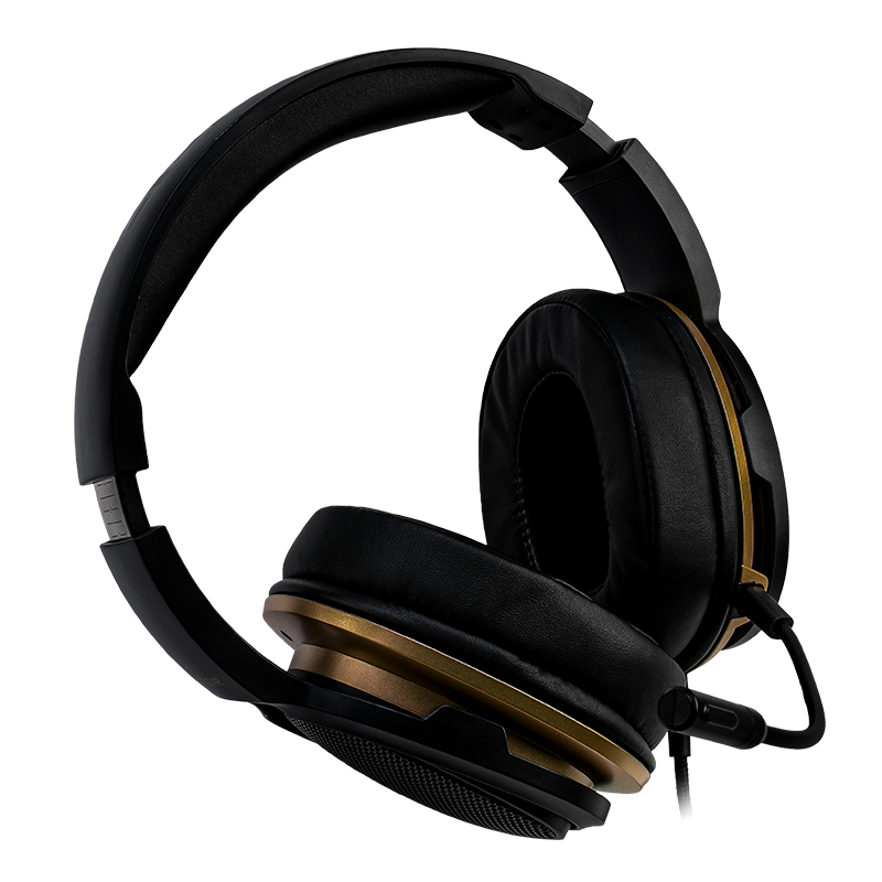 Hator Hellraizer Black/Gold bild 2