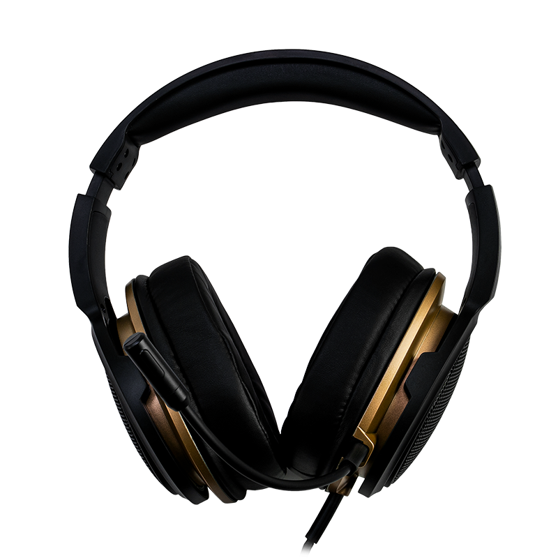 Hator Hellraizer Black/Gold bild 3